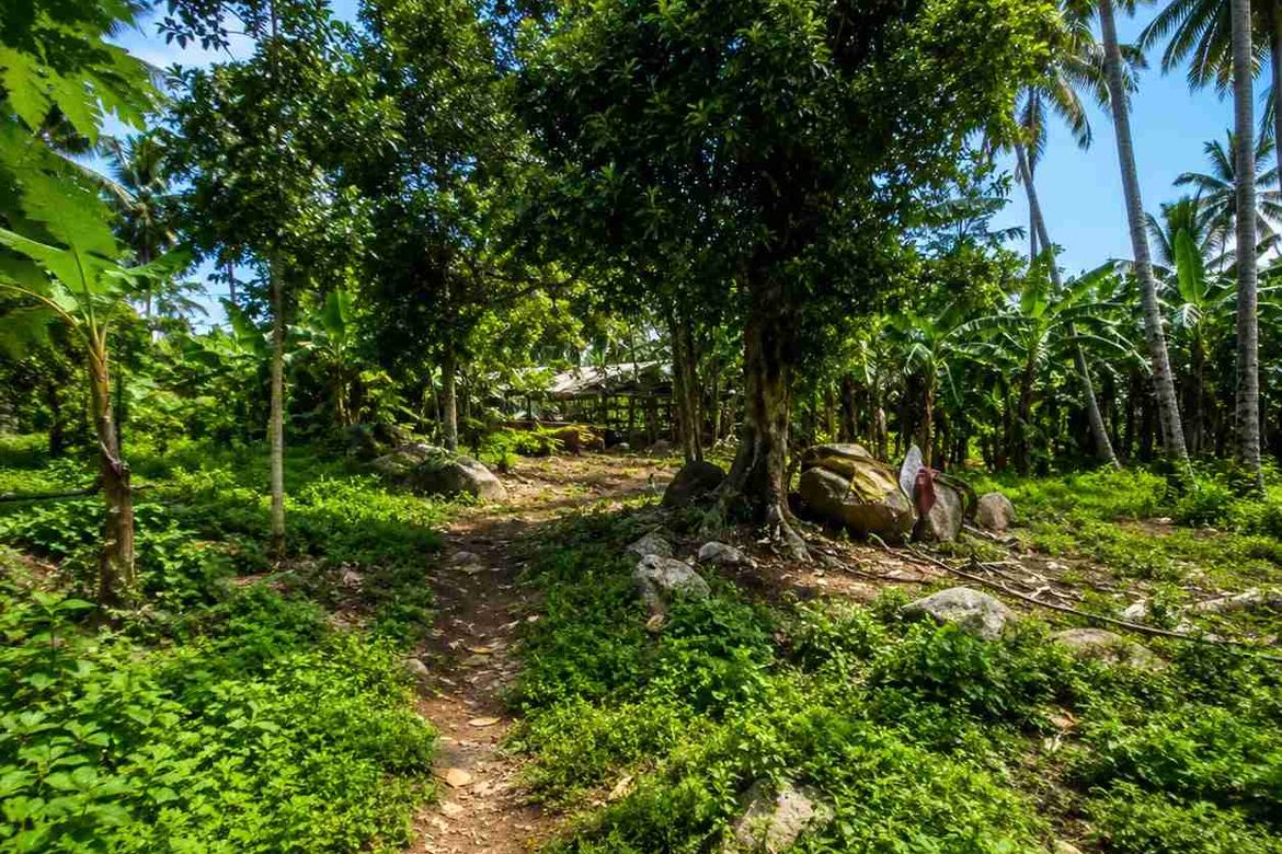 Land for Sale in Lucsuhin, Silang, Cavite
