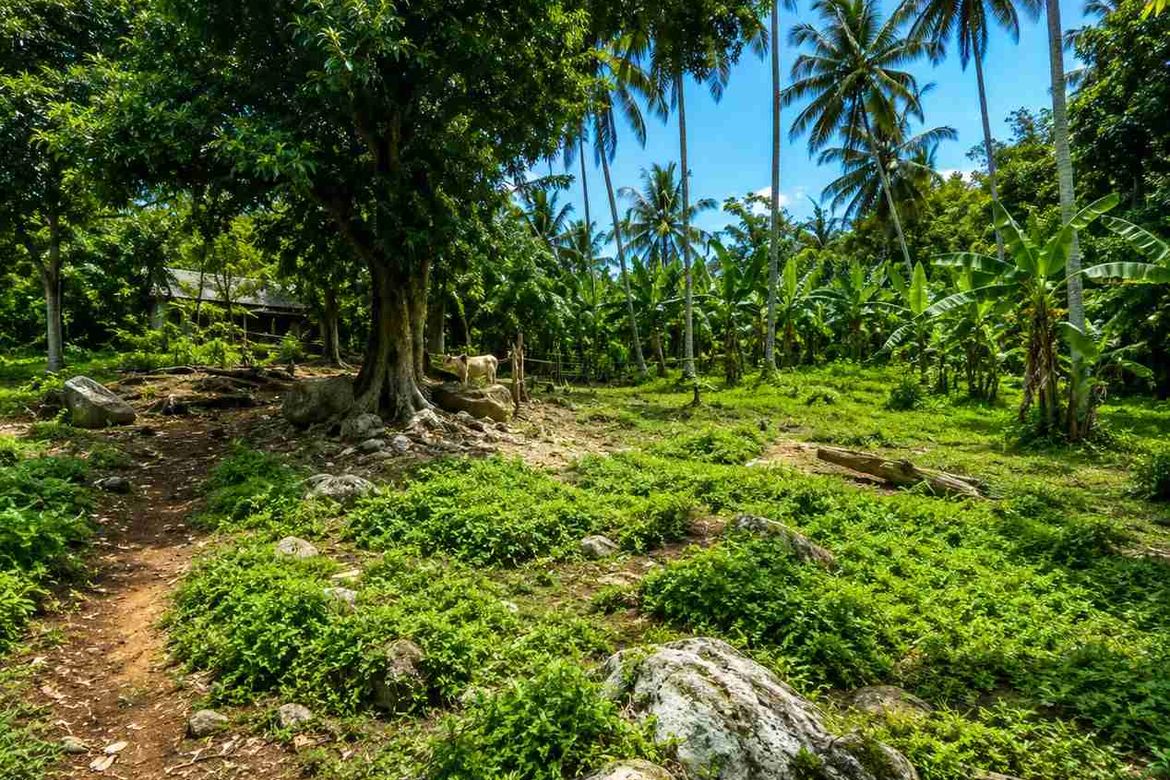Land for Sale in Lucsuhin, Silang, Cavite – photo 2