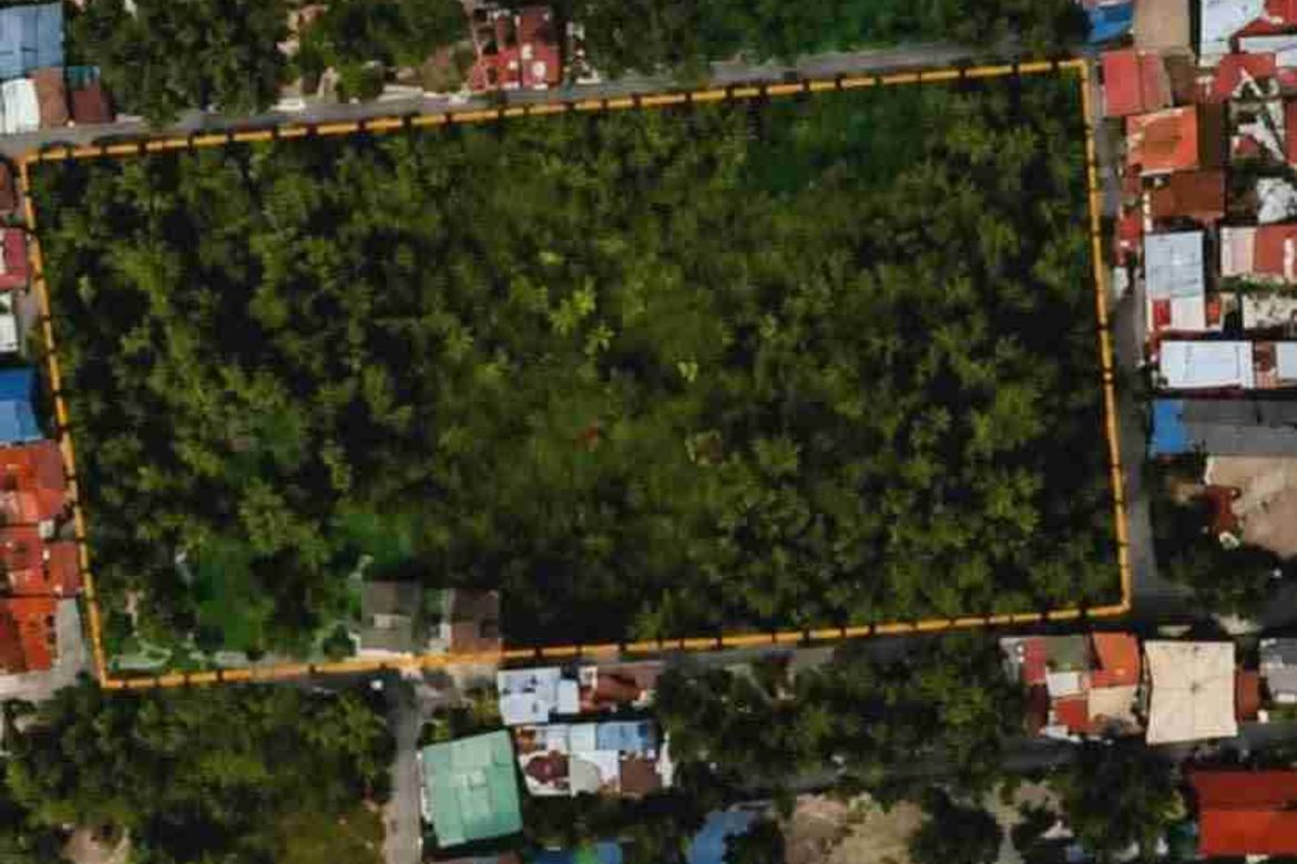 Land for Sale in Lucsuhin, Silang, Cavite – photo 8