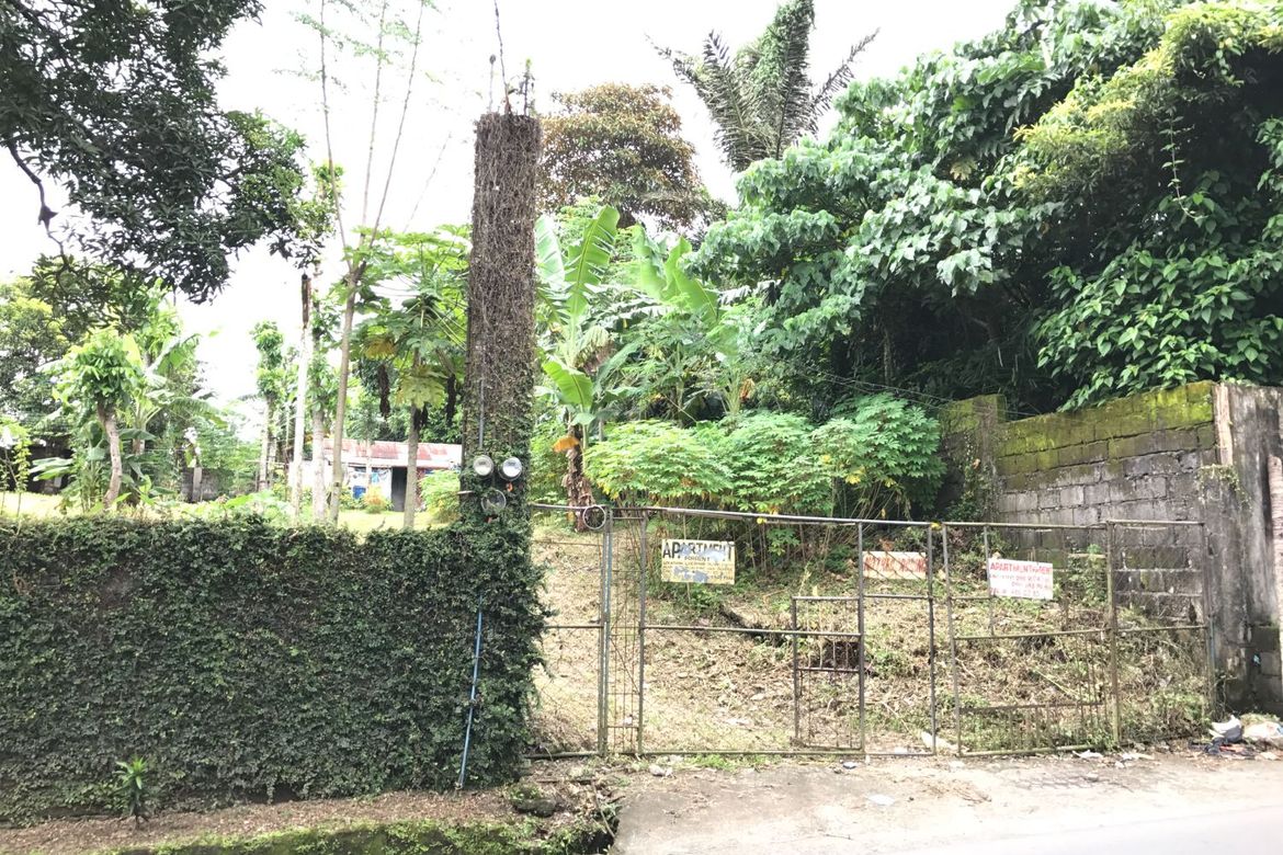 Land for Sale in Lucsuhin, Silang, Cavite – photo 2