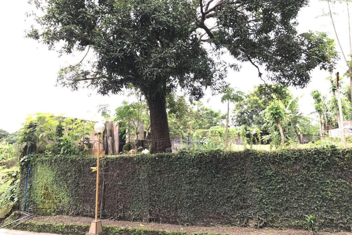 Land for Sale in Lucsuhin, Silang, Cavite – photo 3