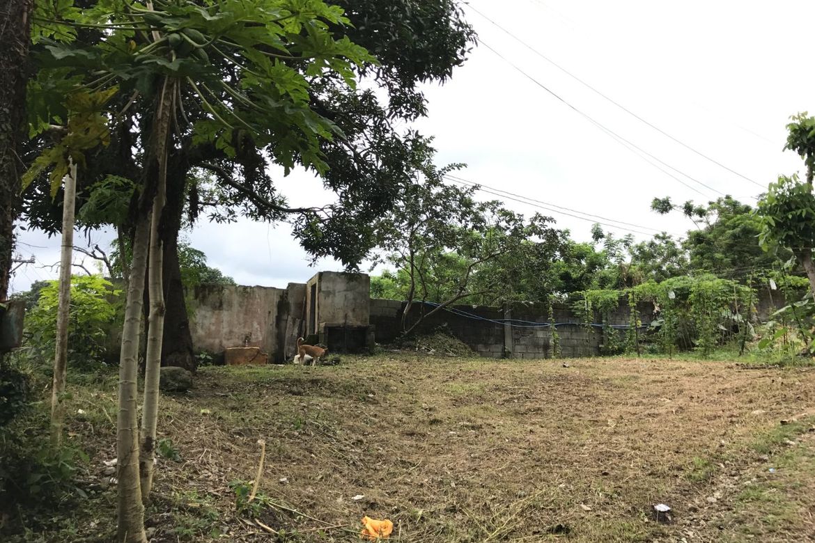 Land for Sale in Lucsuhin, Silang, Cavite – photo 4