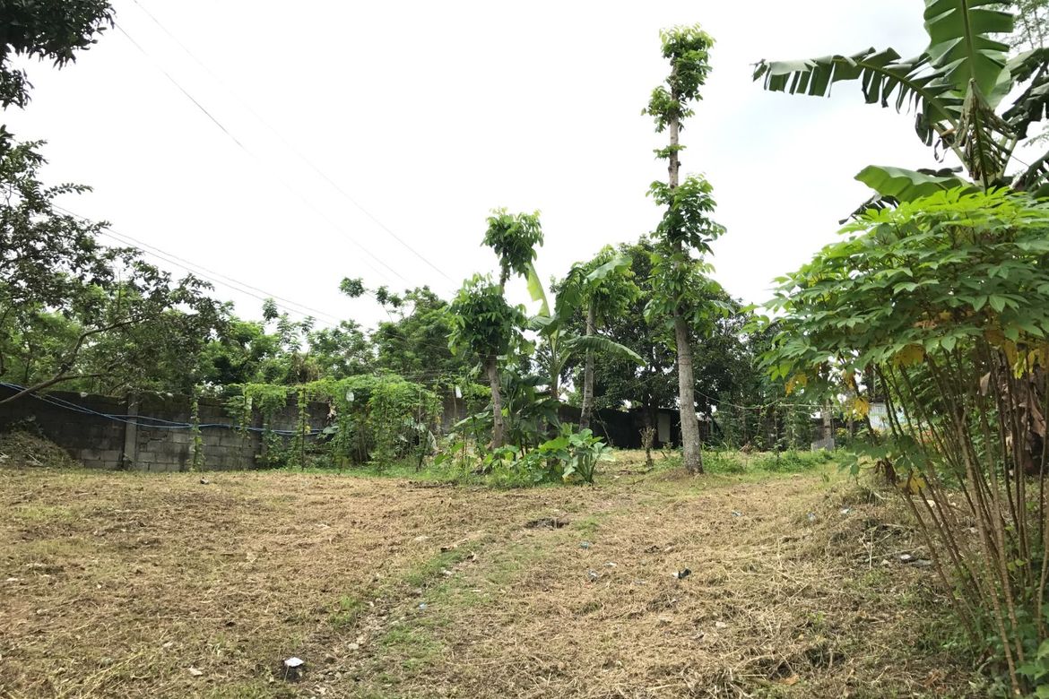 Land for Sale in Lucsuhin, Silang, Cavite – photo 5