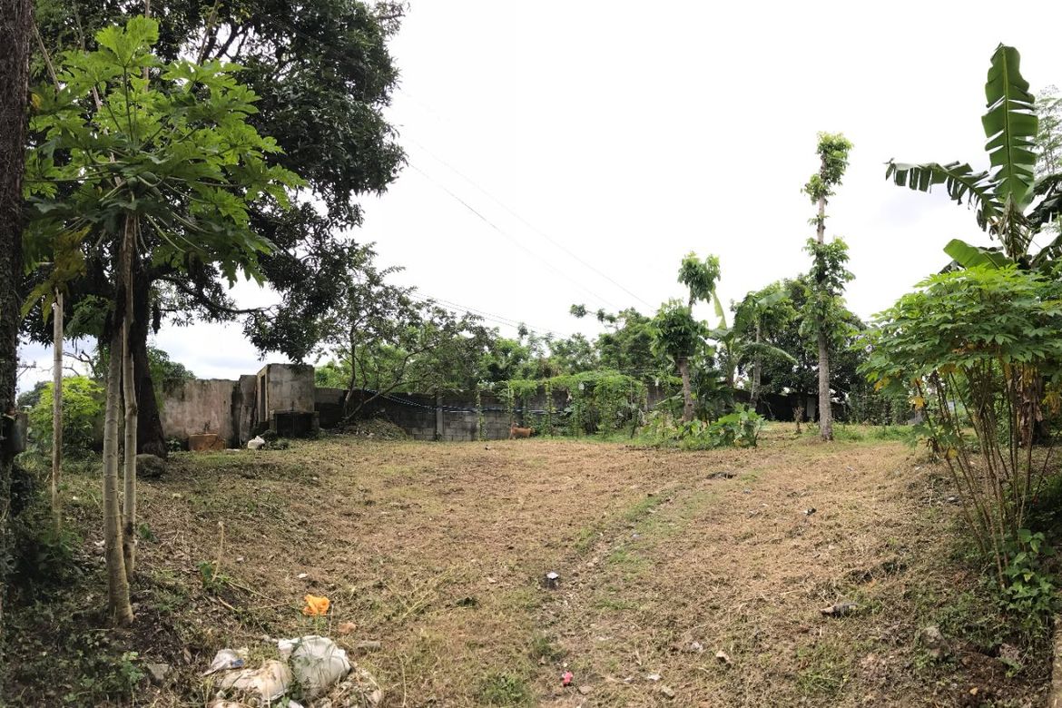 Land for Sale in Lucsuhin, Silang, Cavite – photo 6