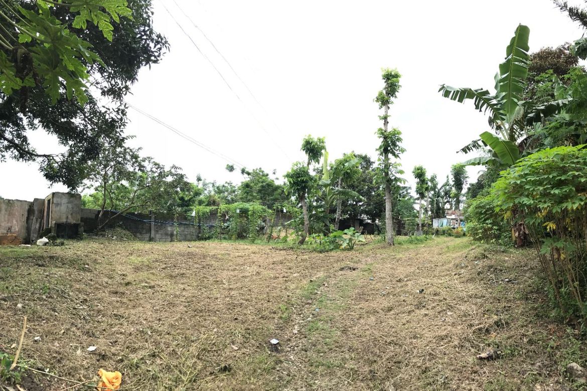 Land for Sale in Lucsuhin, Silang, Cavite – photo 7