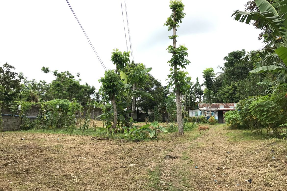 Land for Sale in Lucsuhin, Silang, Cavite – photo 8