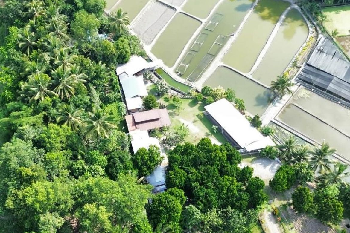 Land for Sale in Luhib, Lake Sebu, South Cotabato – photo 3