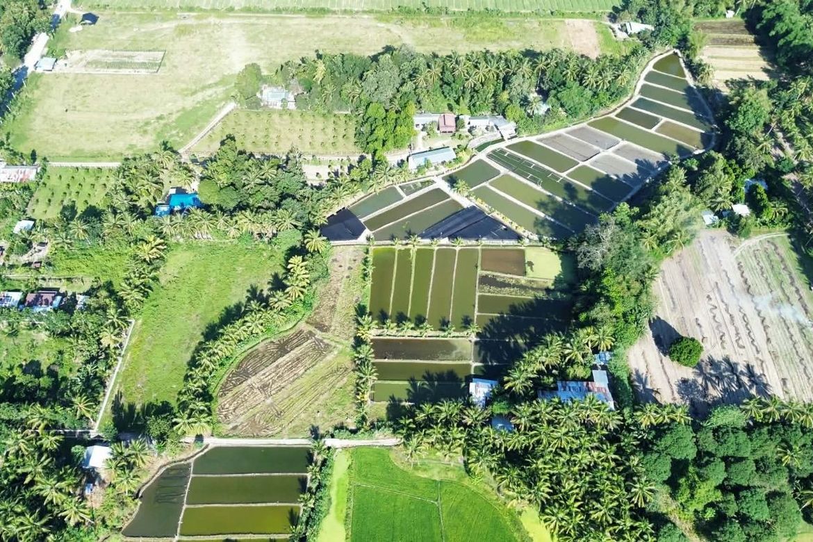 Land for Sale in Luhib, Lake Sebu, South Cotabato – photo 4
