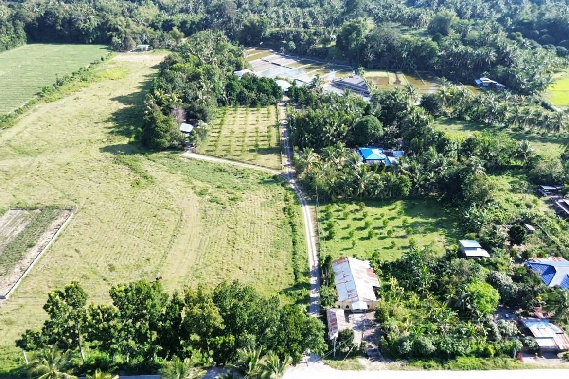 Land for Sale in Luhib, Lake Sebu, South Cotabato – photo 5