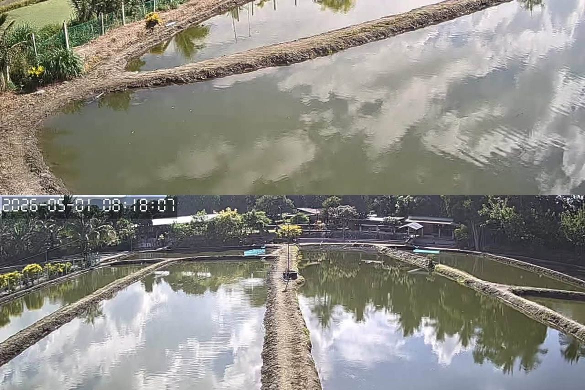 Land for Sale in Luhib, Lake Sebu, South Cotabato – photo 6