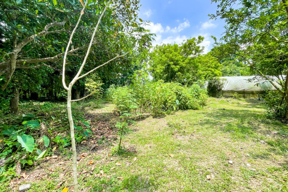 Land for Sale in Luksuhin, Alfonso, Cavite – photo 2
