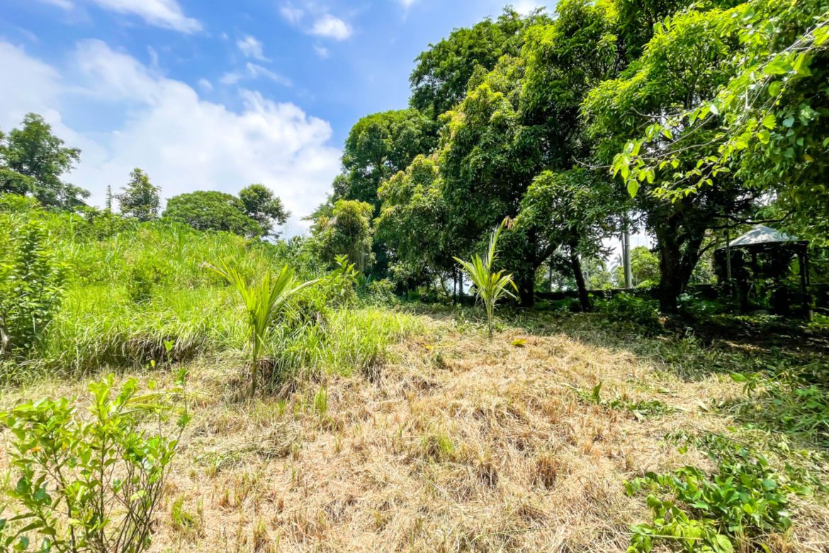Land for Sale in Luksuhin, Alfonso, Cavite – photo 5