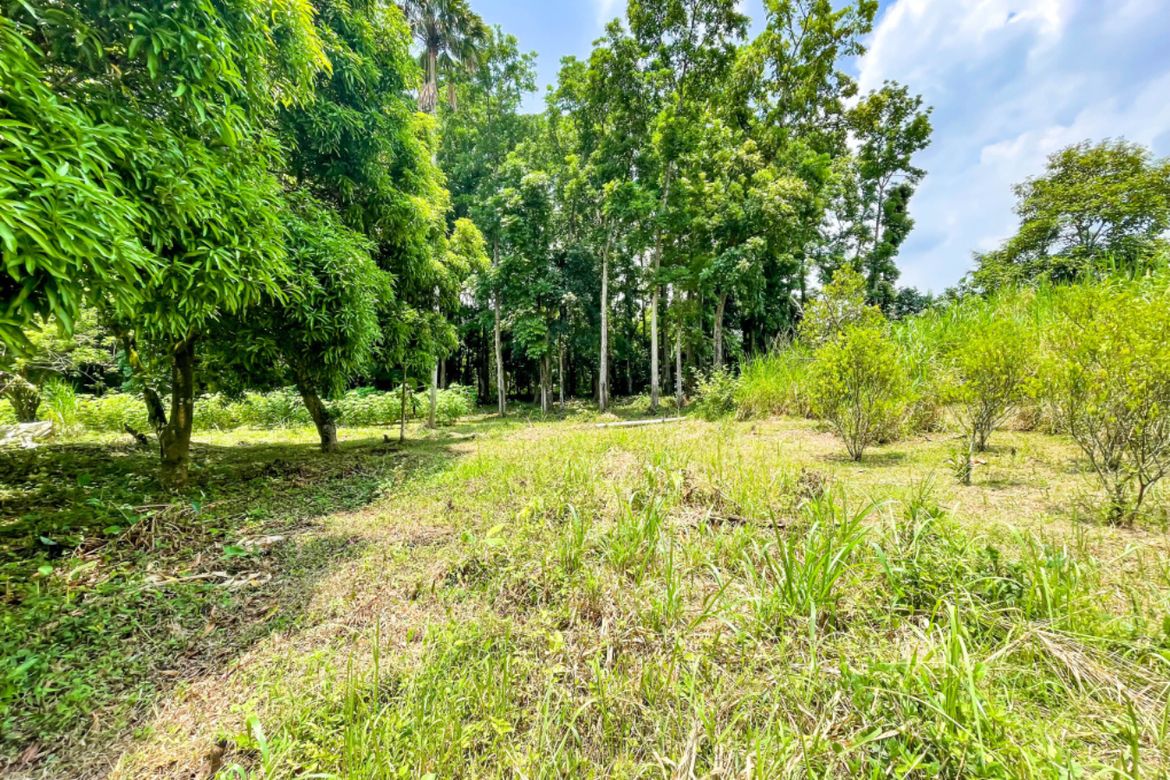 Land for Sale in Luksuhin, Alfonso, Cavite – photo 6
