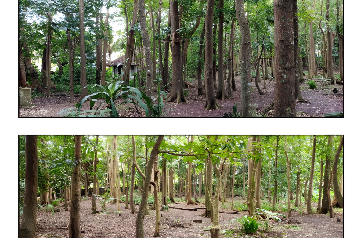 Land for Sale in Luksuhin, Alfonso, Cavite – photo 7