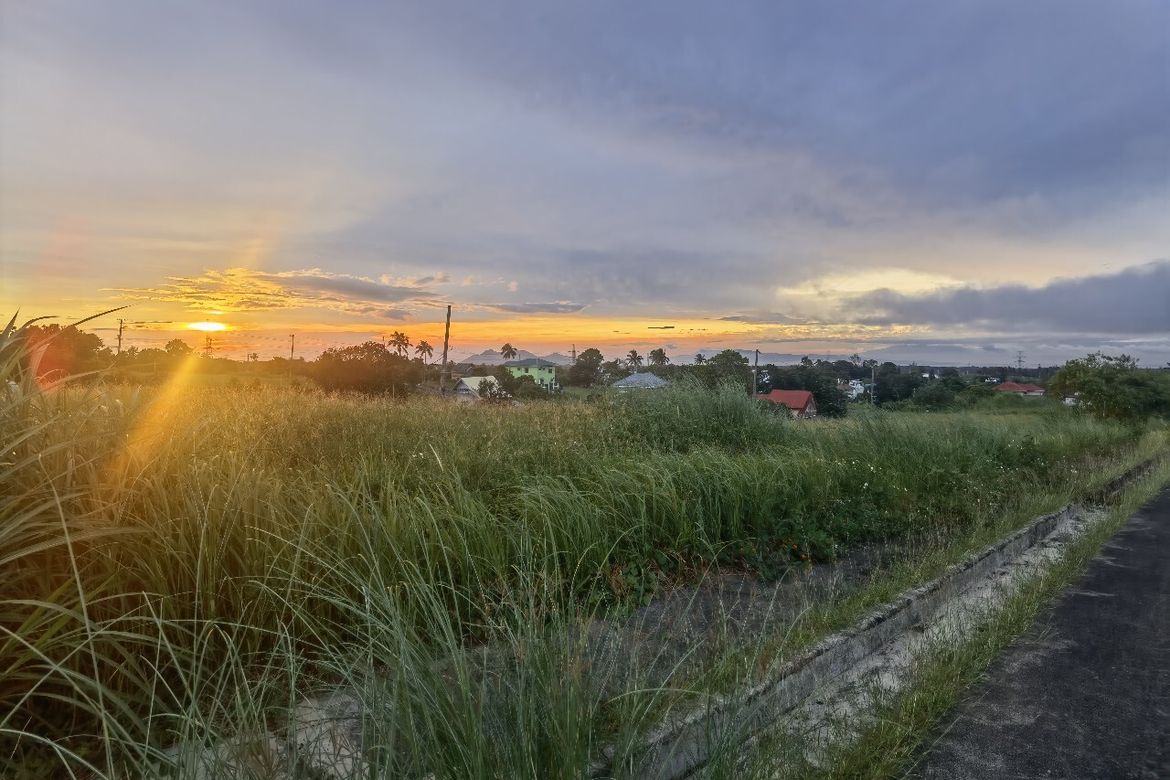 Land for Sale in Luksuhin Ilaya, Alfonso, Cavite – photo 2