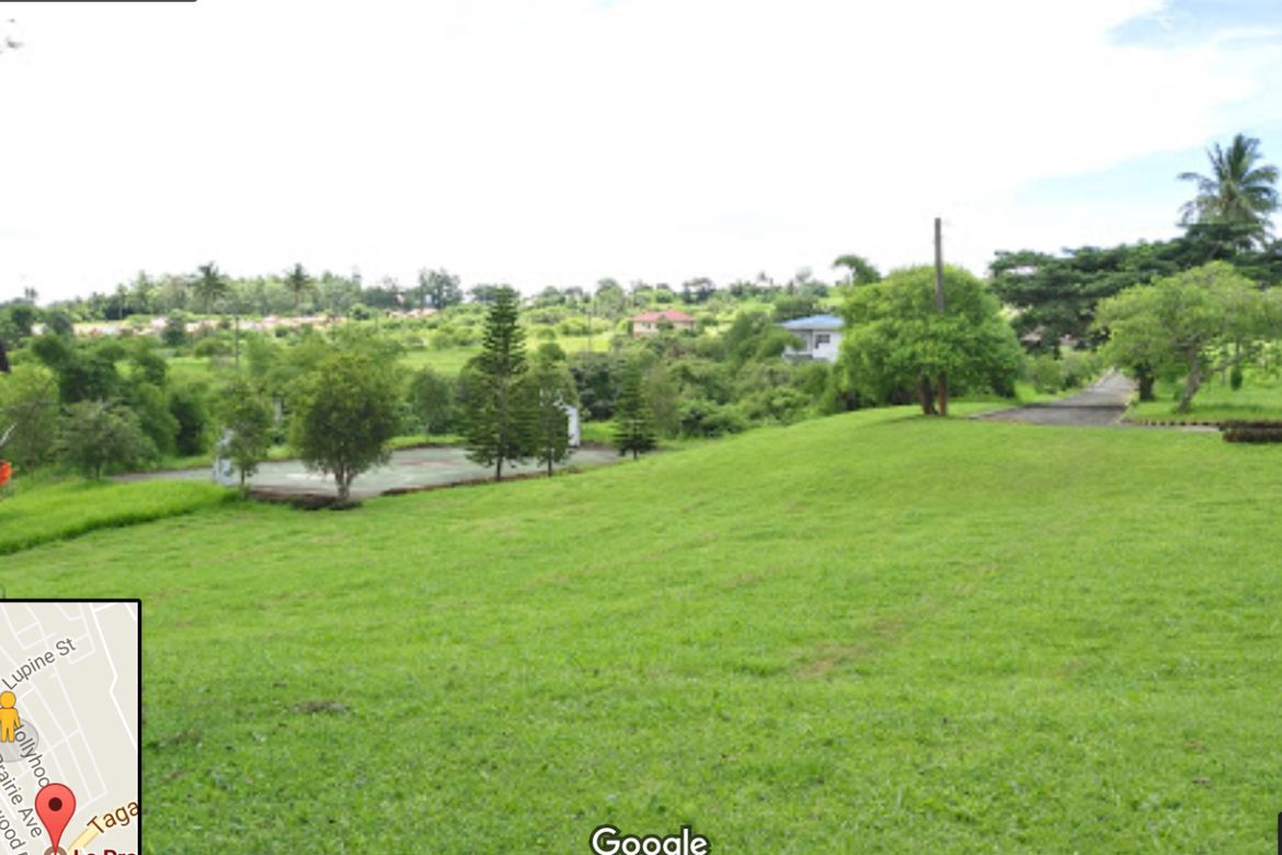 Land for Sale in Luksuhin Ilaya, Alfonso, Cavite – photo 2