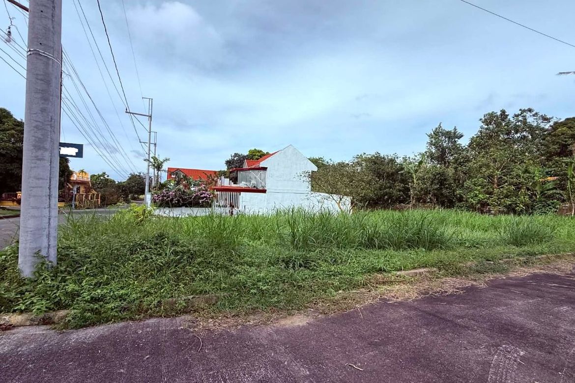 Land for Sale in Luksuhin Ilaya, Alfonso, Cavite – photo 2