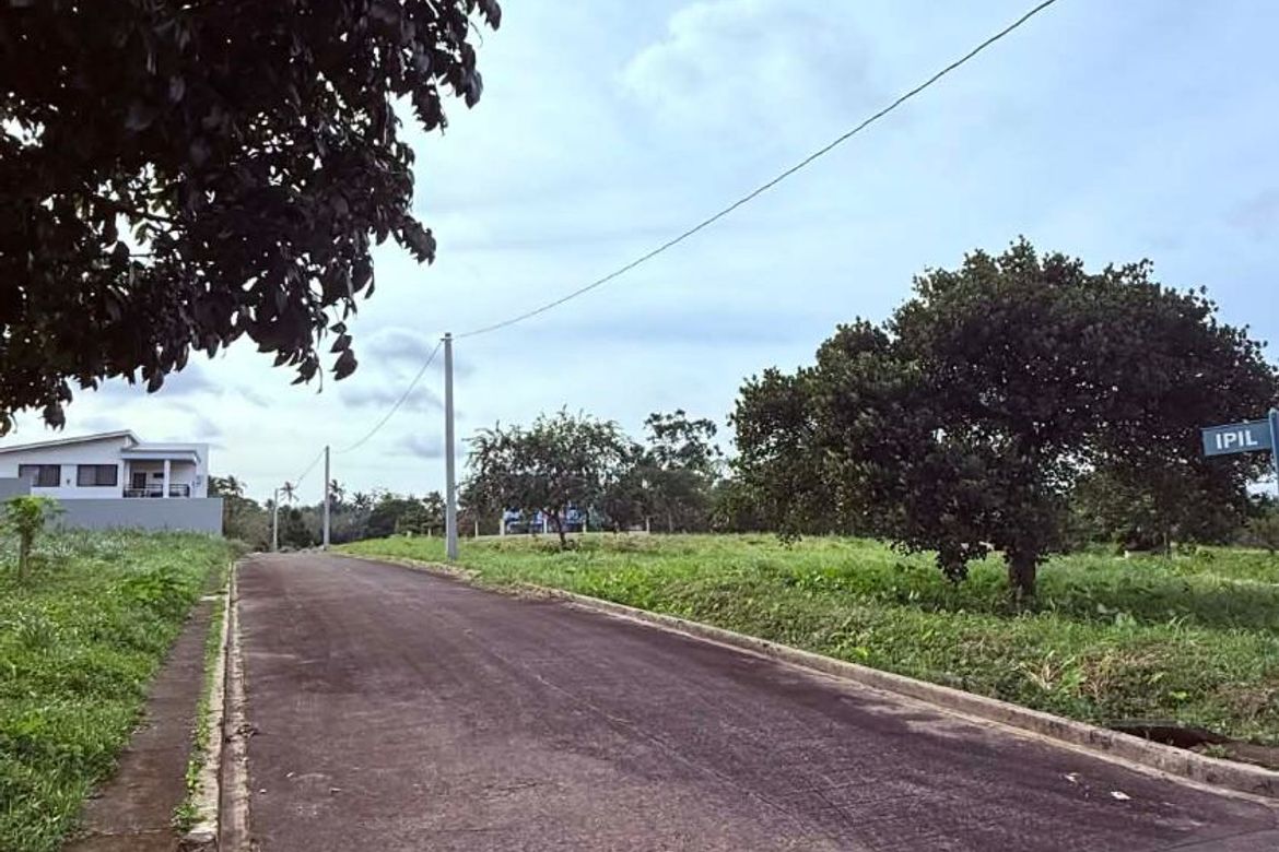 Land for Sale in Luksuhin Ilaya, Alfonso, Cavite – photo 3