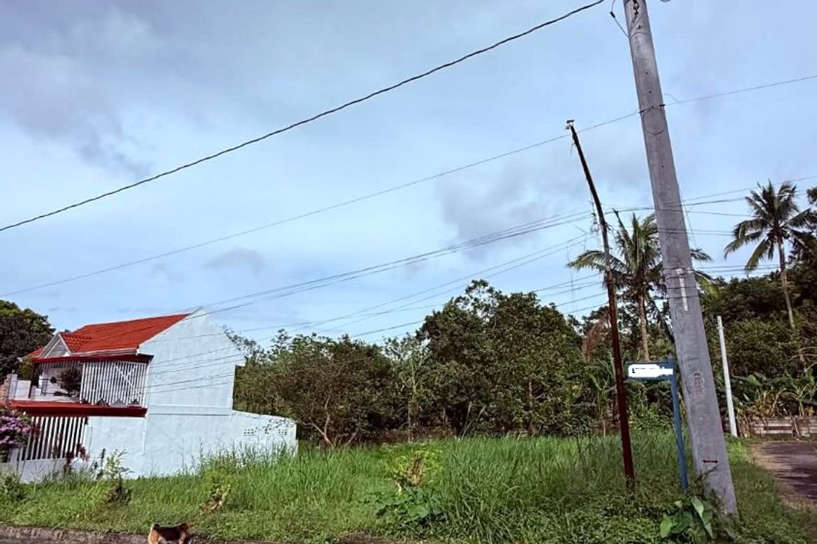 Land for Sale in Luksuhin Ilaya, Alfonso, Cavite – photo 4