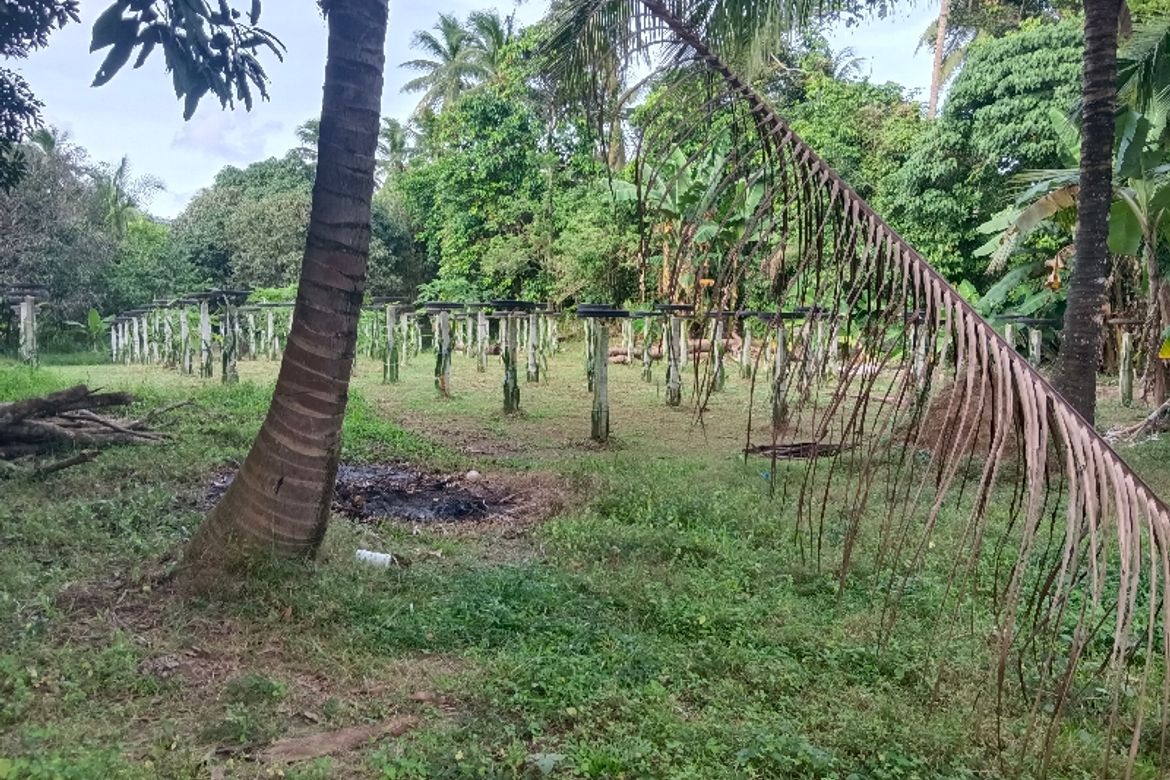 Land for Sale in Lumampong Balagbag, Indang, Cavite – photo 2