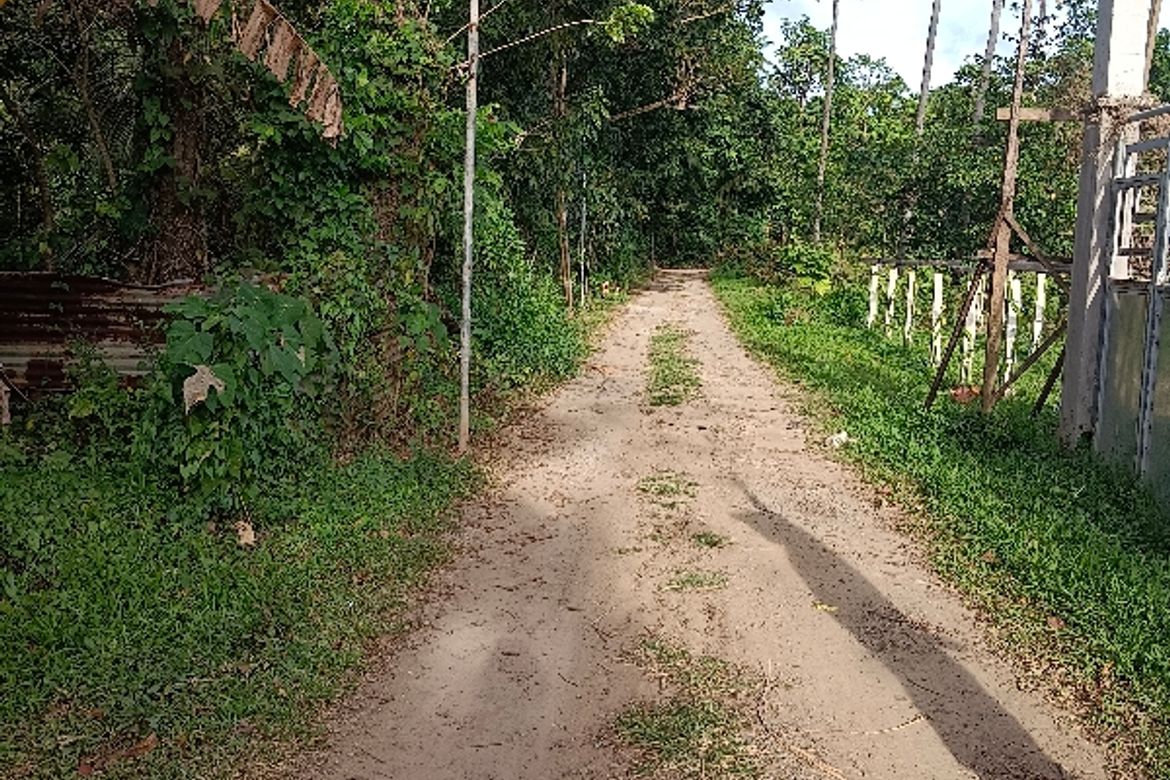 Land for Sale in Lumampong Balagbag, Indang, Cavite – photo 7