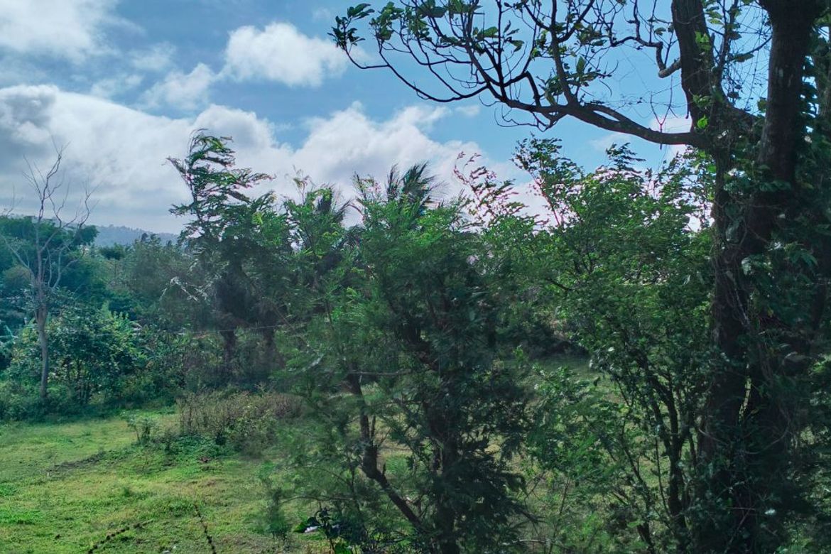Land for Sale in Lumbang Na Bata, Calaca, Batangas – photo 4