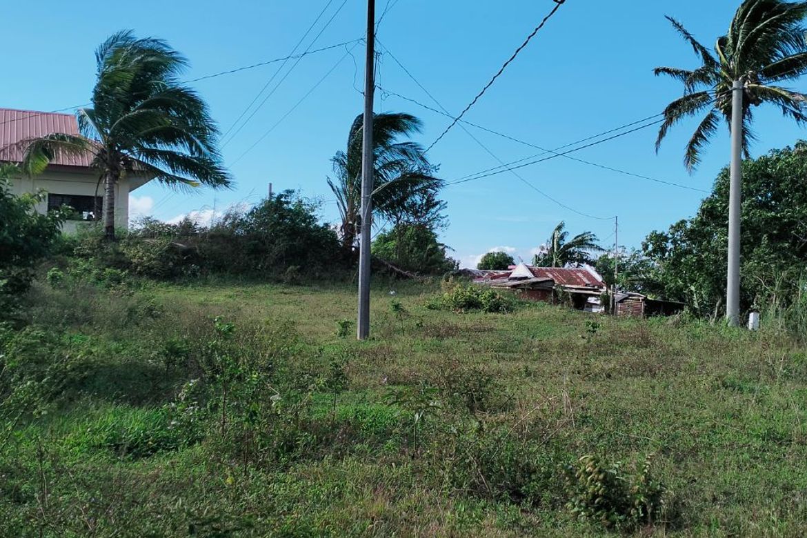 Land for Sale in Lumbang Na Bata, Calaca, Batangas – photo 5