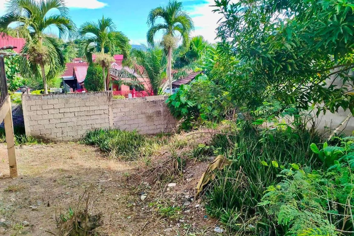 Land for Sale in Lumbia, Cagayan de Oro, Misamis Oriental – photo 3