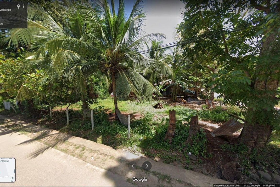 Land for Sale in Lumbia, Cagayan de Oro, Misamis Oriental – photo 3