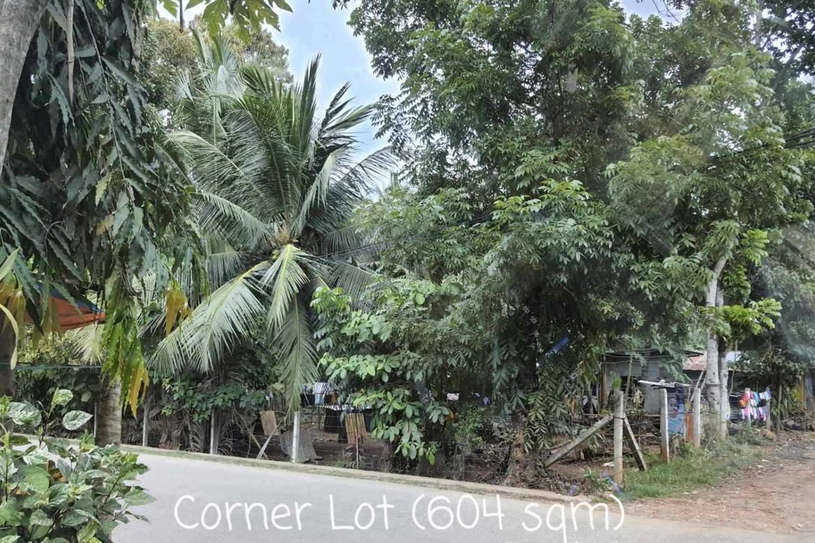 Land for Sale in Lumbia, Cagayan de Oro, Misamis Oriental – photo 6