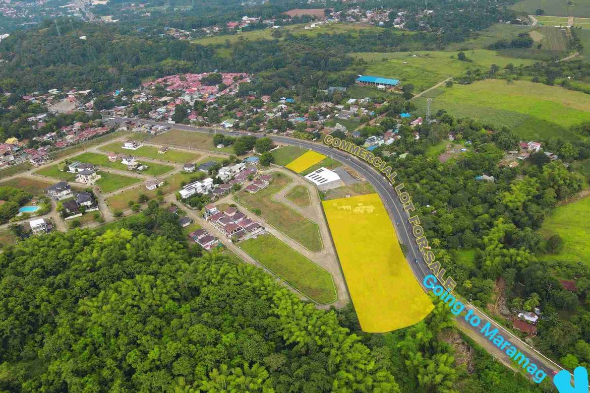 Land for Sale in Lumbo, Valencia, Bukidnon – photo 3