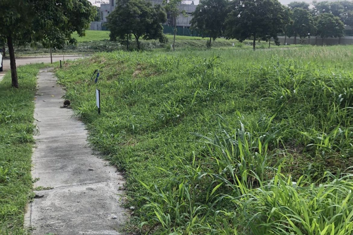 Land for Sale in Lumira Nuvali, Canlubang, Calamba, Laguna – photo 2