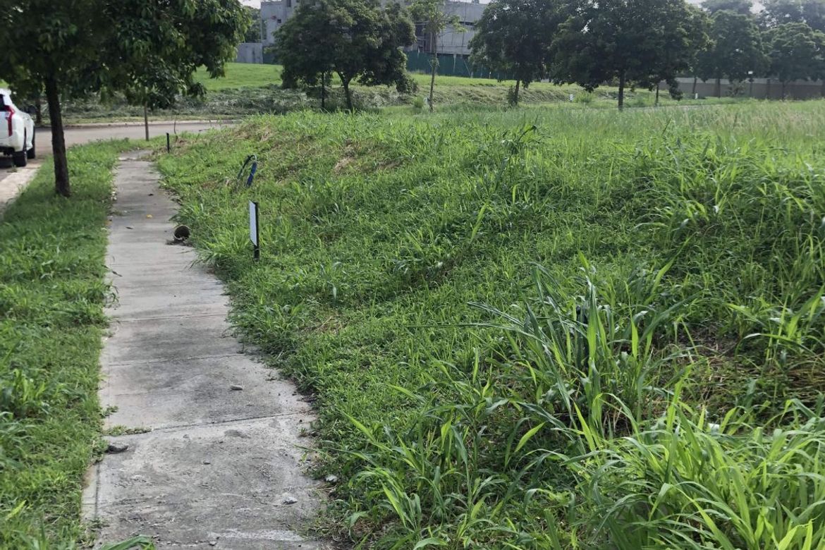 Land for Sale in Lumira Nuvali, Canlubang, Calamba, Laguna – photo 5