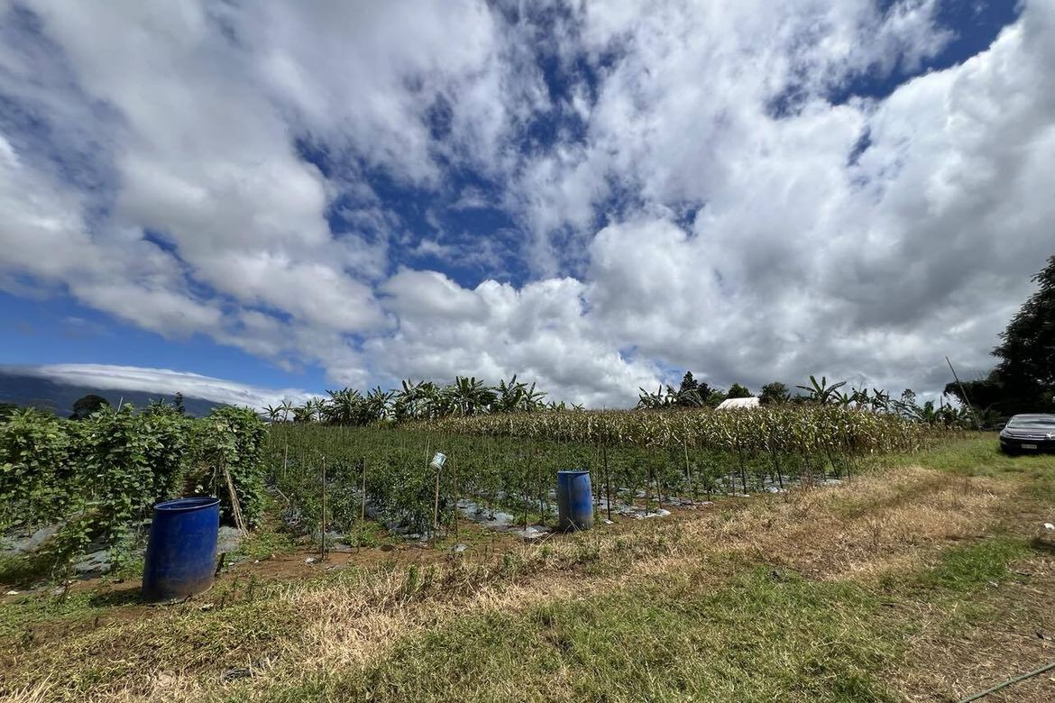 Land for Sale in Luna, Claveria, Misamis Oriental