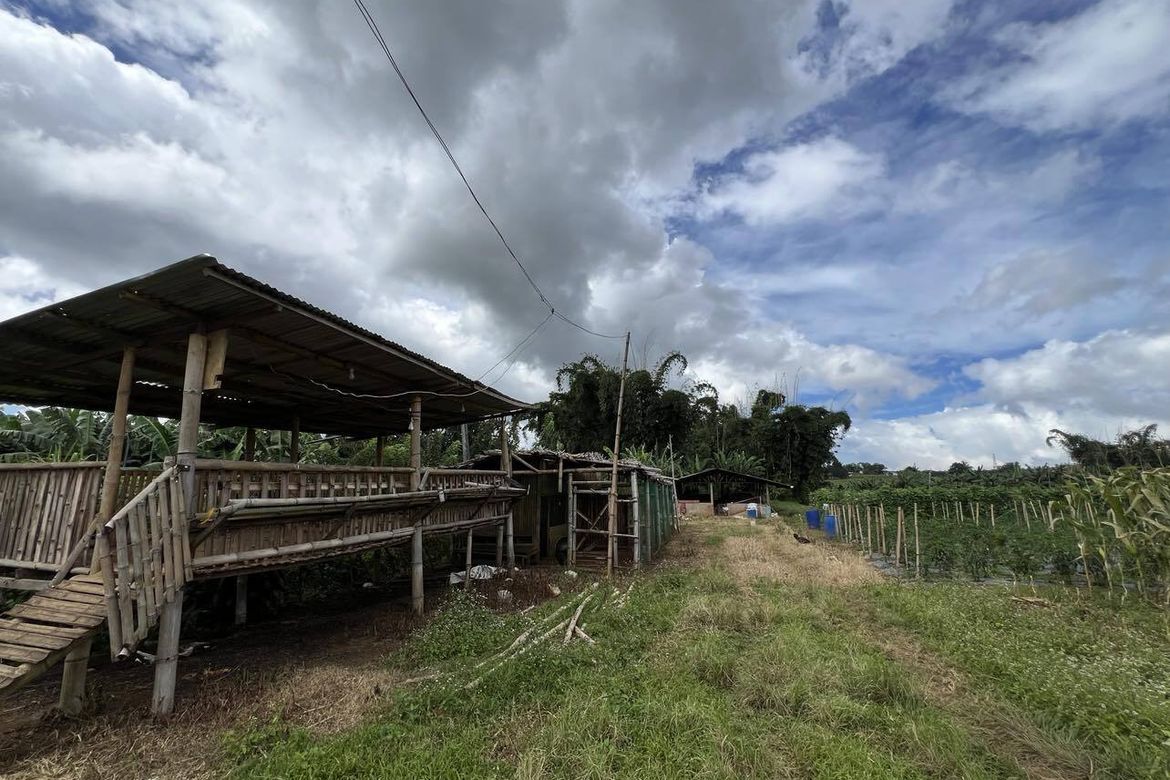 Land for Sale in Luna, Claveria, Misamis Oriental – photo 3
