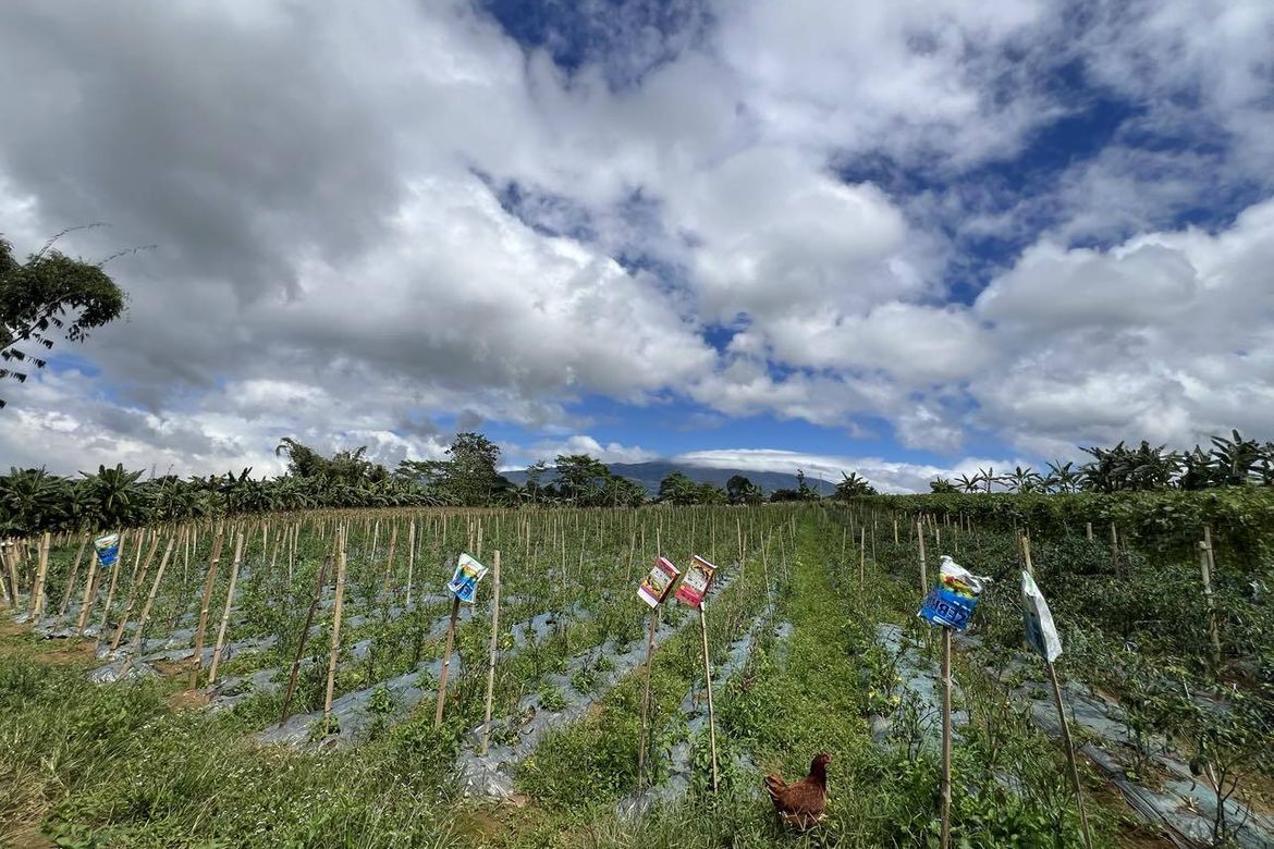 Land for Sale in Luna, Claveria, Misamis Oriental – photo 6