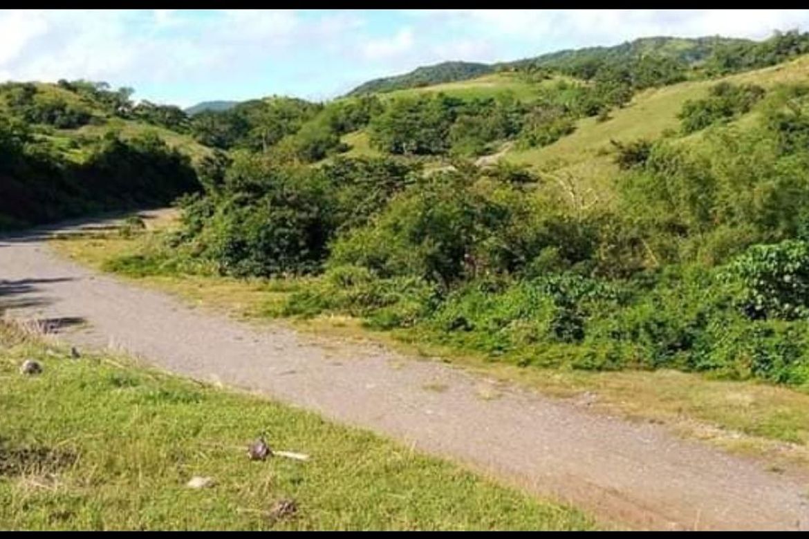Land for Sale in Lunas, Romblon, Romblon – photo 3