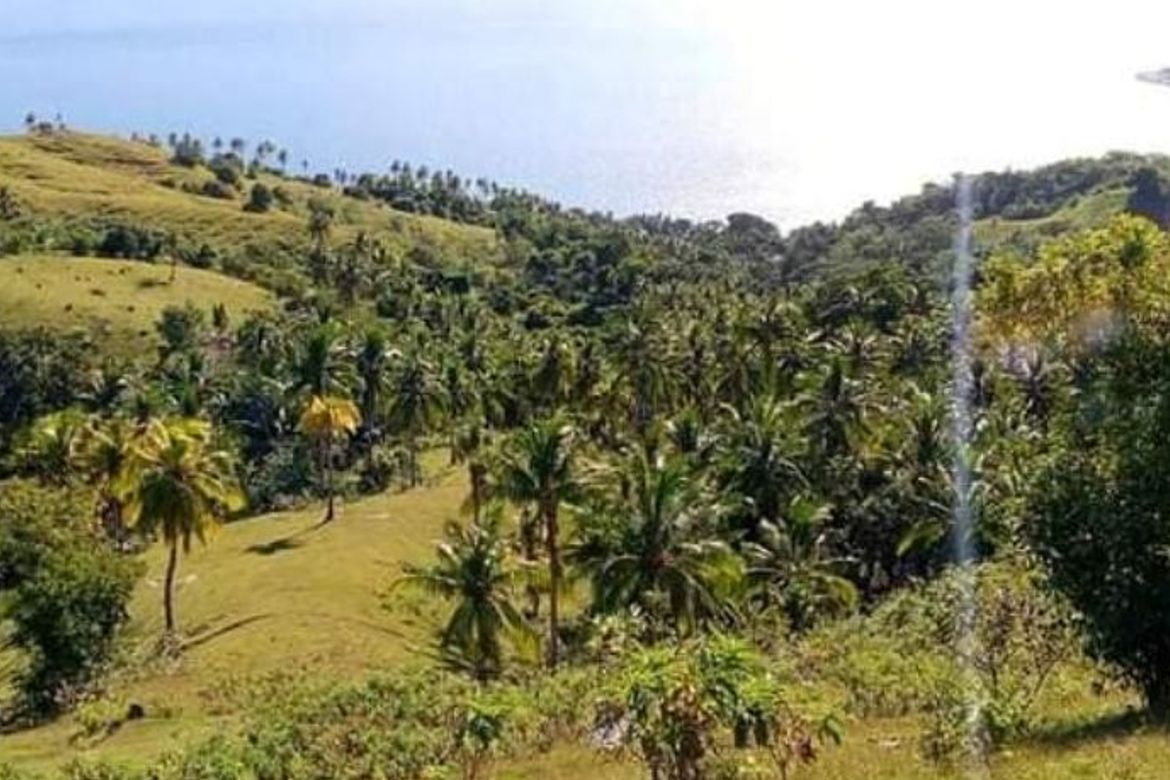 Land for Sale in Lunas, Romblon, Romblon – photo 4