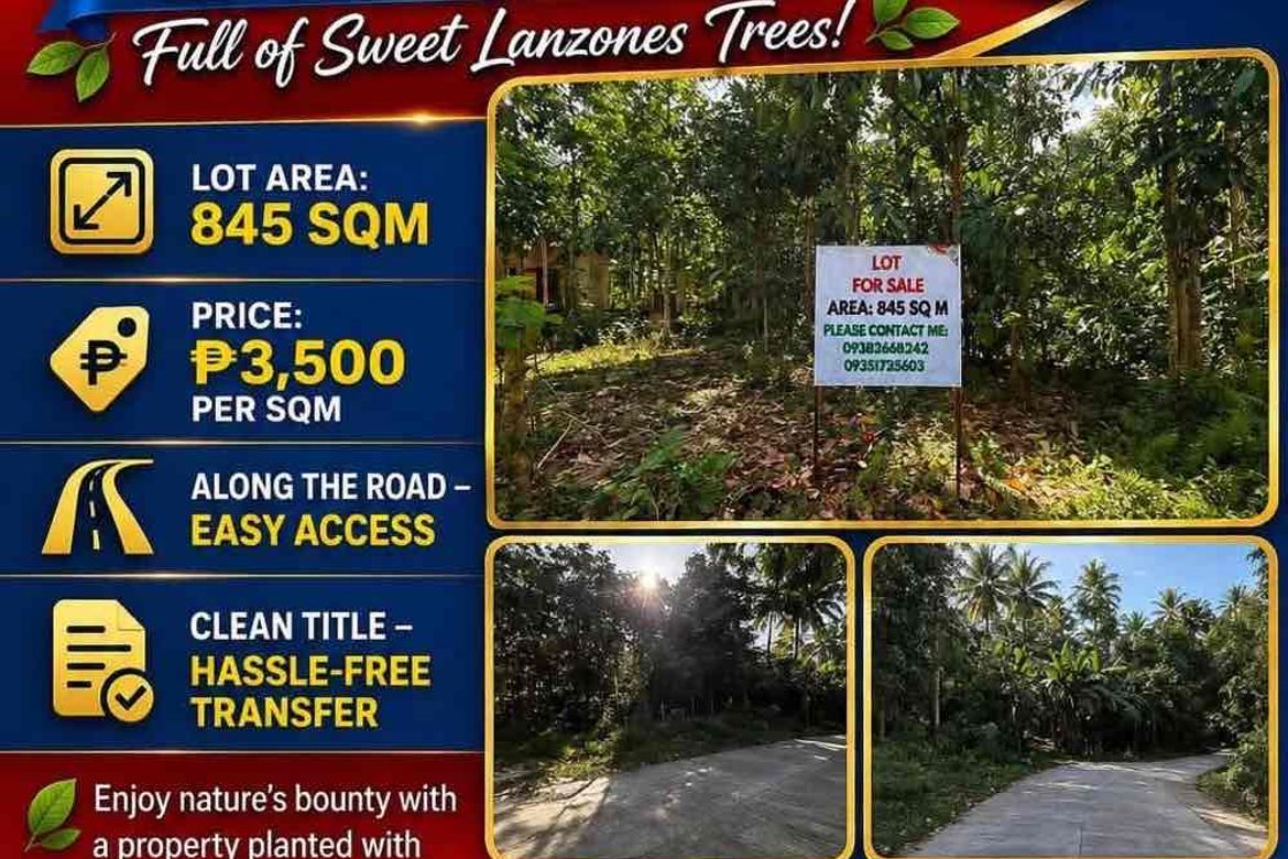 Land for Sale in Lunga, Valencia, Negros Oriental