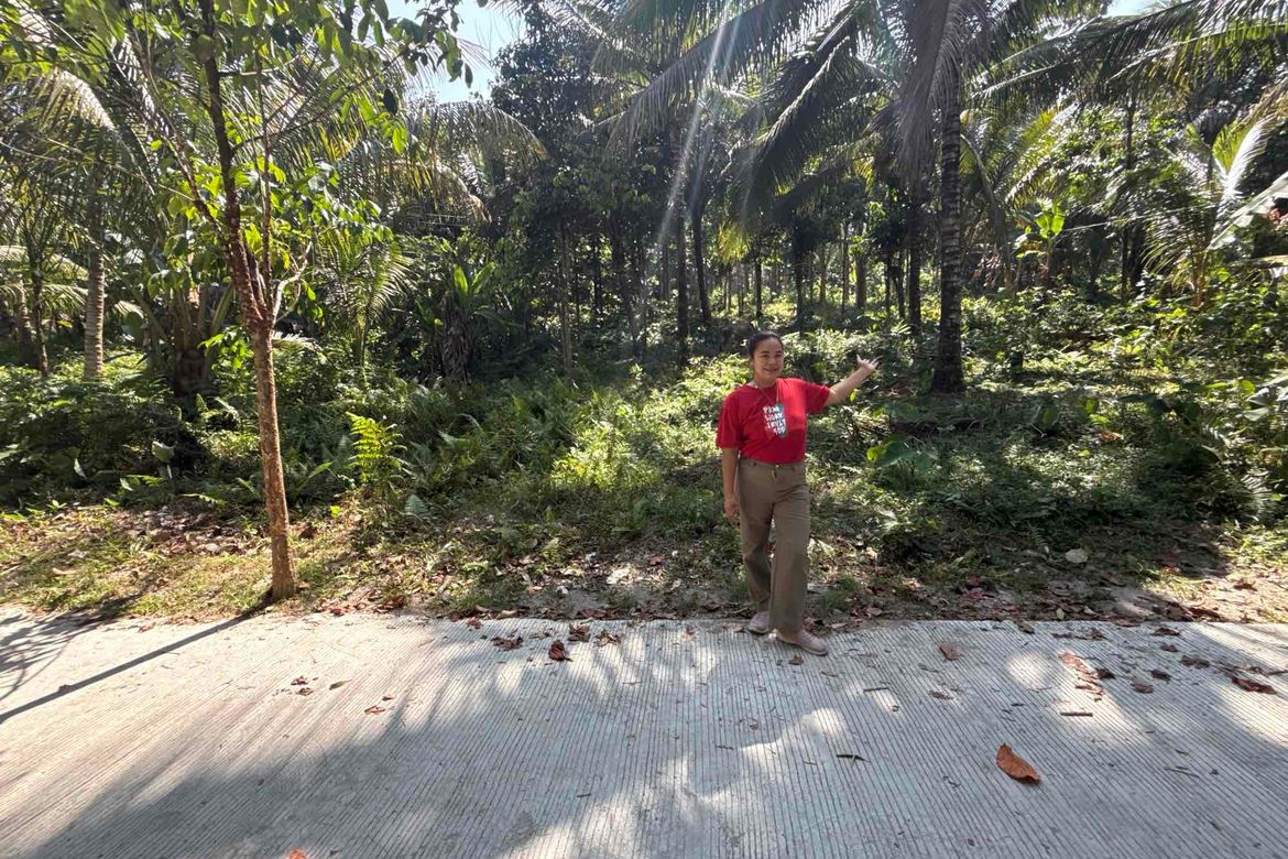 Land for Sale in Lunga, Valencia, Negros Oriental – photo 6