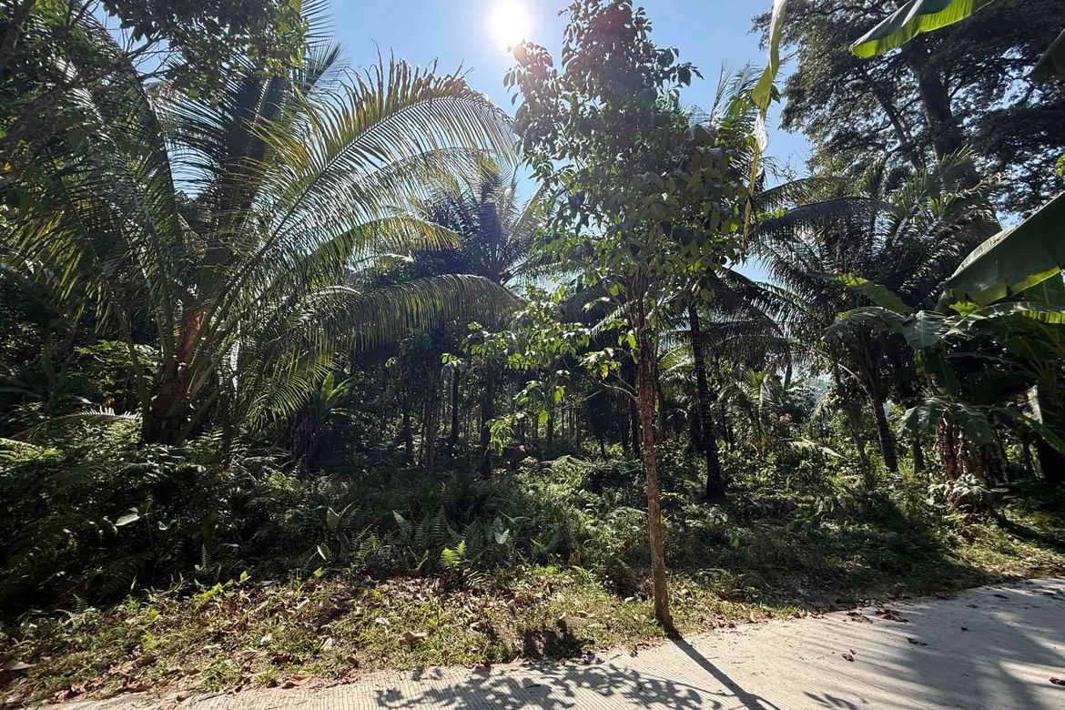 Land for Sale in Lunga, Valencia, Negros Oriental