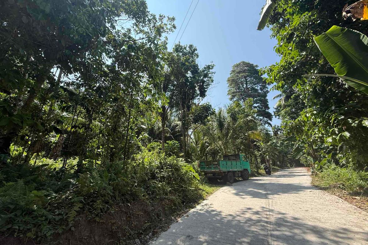 Land for Sale in Lunga, Valencia, Negros Oriental – photo 3