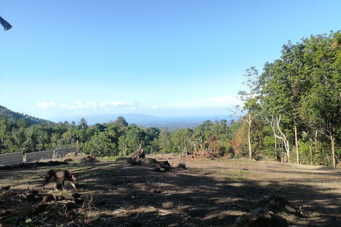 Land for Sale in Lunga, Valencia, Negros Oriental – photo 4