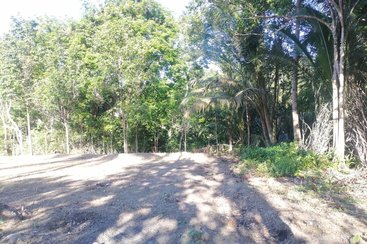 Land for Sale in Lunga, Valencia, Negros Oriental – photo 6