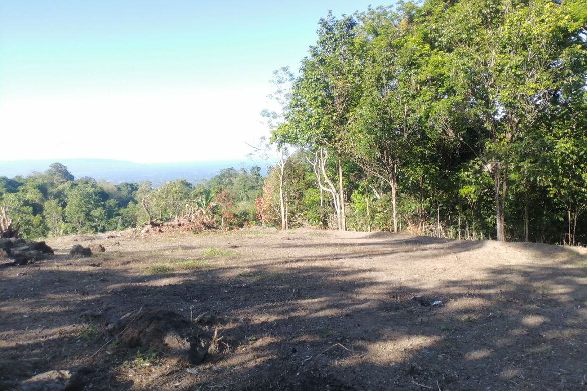 Land for Sale in Lunga, Valencia, Negros Oriental – photo 7