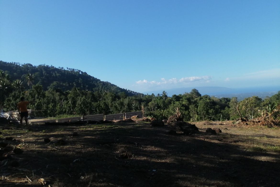 Land for Sale in Lunga, Valencia, Negros Oriental – photo 8
