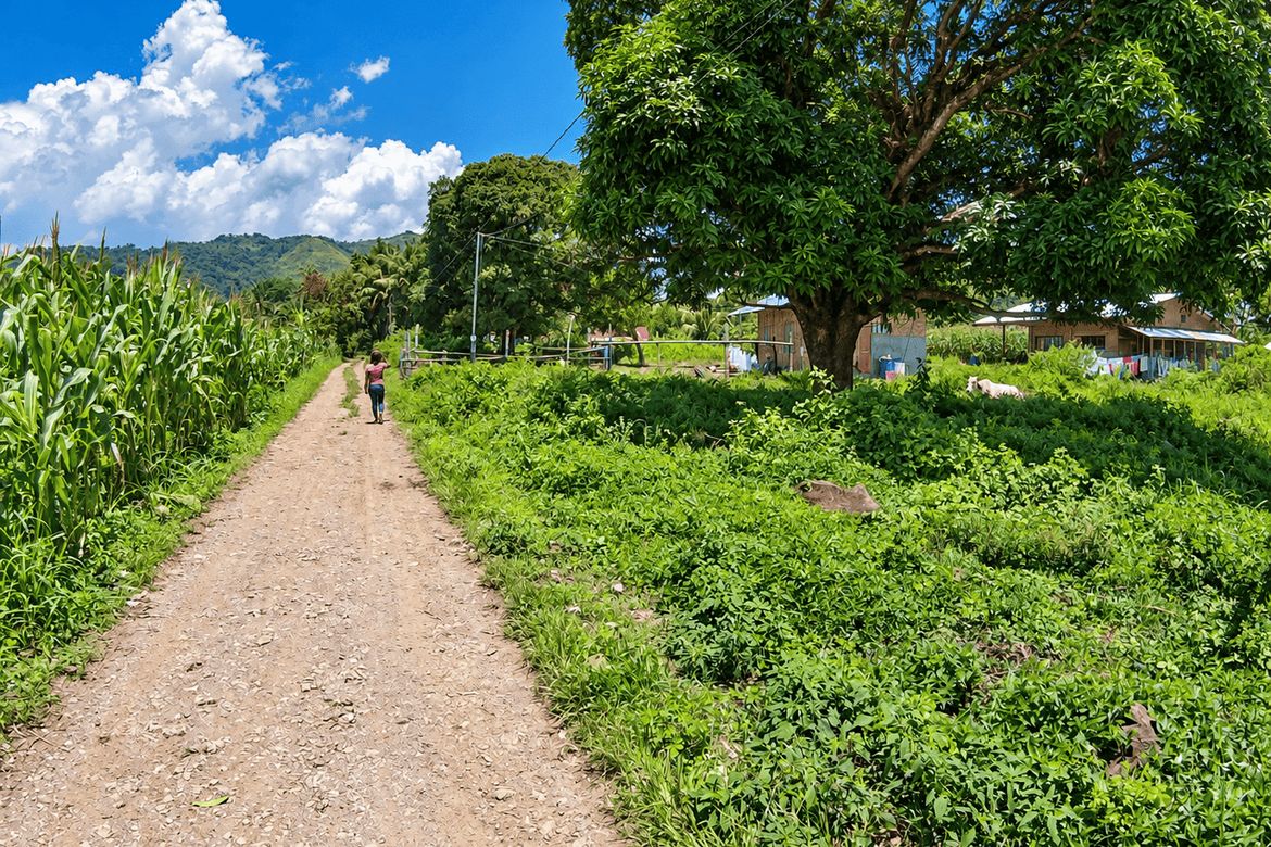 Land for Sale in Lunocan, Manolo Fortich, Bukidnon – photo 5