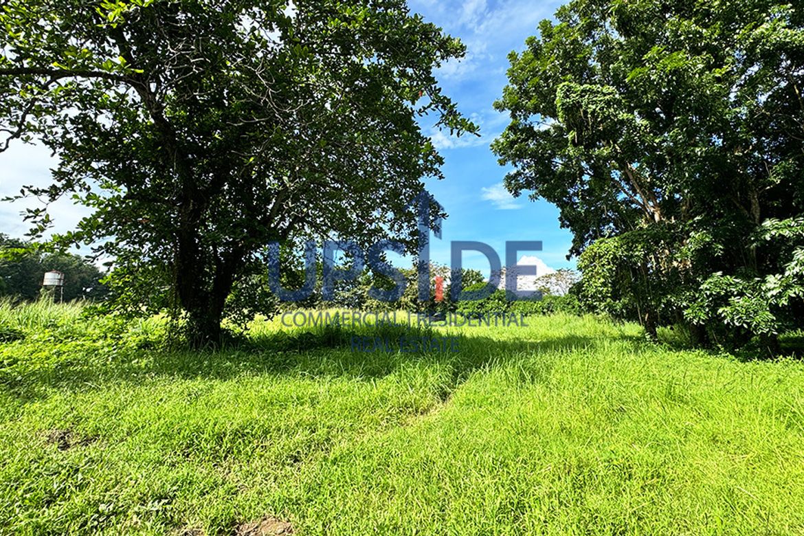 Land for Sale in Luta Del Sur, Malvar, Batangas – photo 6