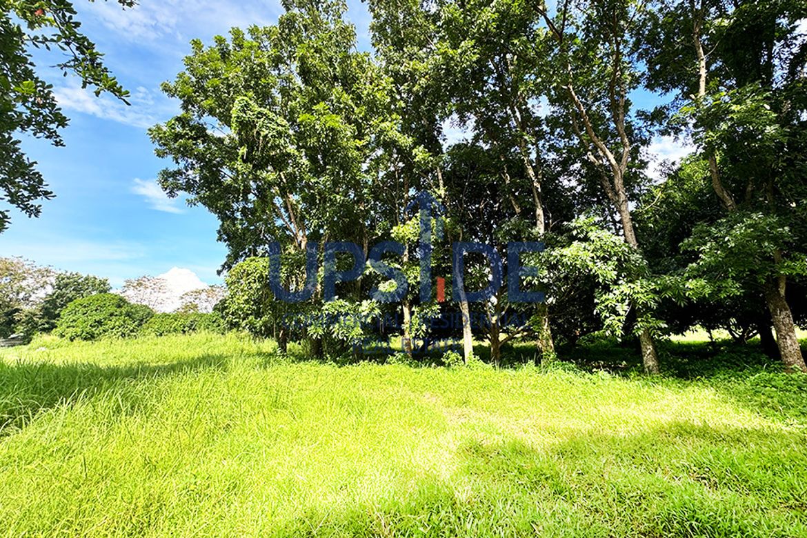 Land for Sale in Luta Del Sur, Malvar, Batangas – photo 8