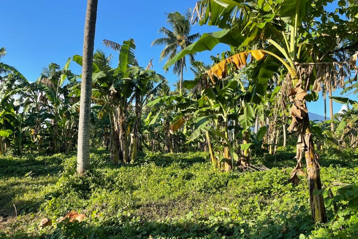 Land for Sale in Lutucan 1, Sariaya, Quezon – photo 3